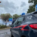 MELITO PORTO SALVO, PIANTE DI CANNABIS E VIOLAZIONI DI MISURE RESTRITTIVE SCOPERTE DAI CARABINIERI DELLA LOCALE COMPAGNIA